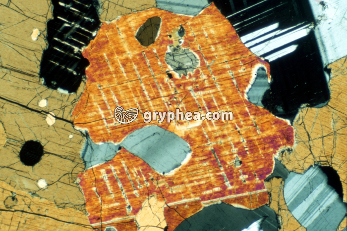 Pyroxène LPA x10 - gryphea.com